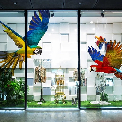  Shop Window
